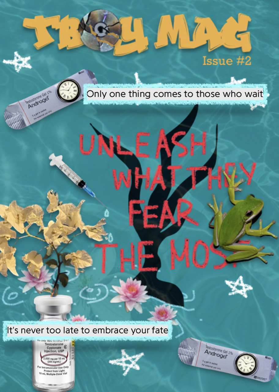 A collage set onto an aquamarine background, which looks like the water of a swimming pool. At the top, in orange, grafitti-like text reads “TBOY MAG” in large, capital letters. The O has been replaced with a broken CD disk. Underneath in smaller letters, reads “Issue #2”.
Going down the page, underneath the title, there is a packet of testosterone gel, with a clock on it where the logo usually is. To the right, slightly overlapping it, the lyrics “Only one thing comes to those who wait” from 6up 5oh Cop Out by Will Wood are written, highlighted by light blue crayon.
In the middle of the page, there is a silhouette of a tree, without any leaves and with twisted branches. In large, red writing, the words “UNLEASH WHAT THEY FEAR THE MOST” is written across the tree in capital letters. There is a real picture of a frog next to the writing, to the right, and slightly covering the word “most”. To the left of the tree, there is a real picture of a needle, with blue water dripping out of it and landing just below where ripples have been drawn. Surrounding the bottom of the tree, there are real pictures of pink water lillies, floating atop the ripples.
At the bottom of the page, to the left, there is a bottle of testosterone with white, bougainvillea flowers growing out of it. The second half of the lyrics that were written above are now written across the bottle, reading: “It’s never too late to embrace your fate”. This is also highlighted in blue crayon.
To the bottom right, an identical testosterone gel packet is pictured with the same clock on it.
There are white stars dotted around the page.