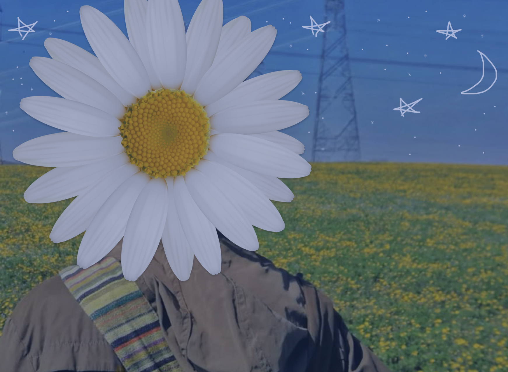 Picture of a person's back in the foreground of the image to the left, with their head having been replaced by a huge daisy head. They are in a field of yellow flowers and in the background is a transmissions tower. The sky is blue, but the image has been edited so that stars and a moon have been drawn on the sky.