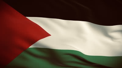 image of a Palestinian flag