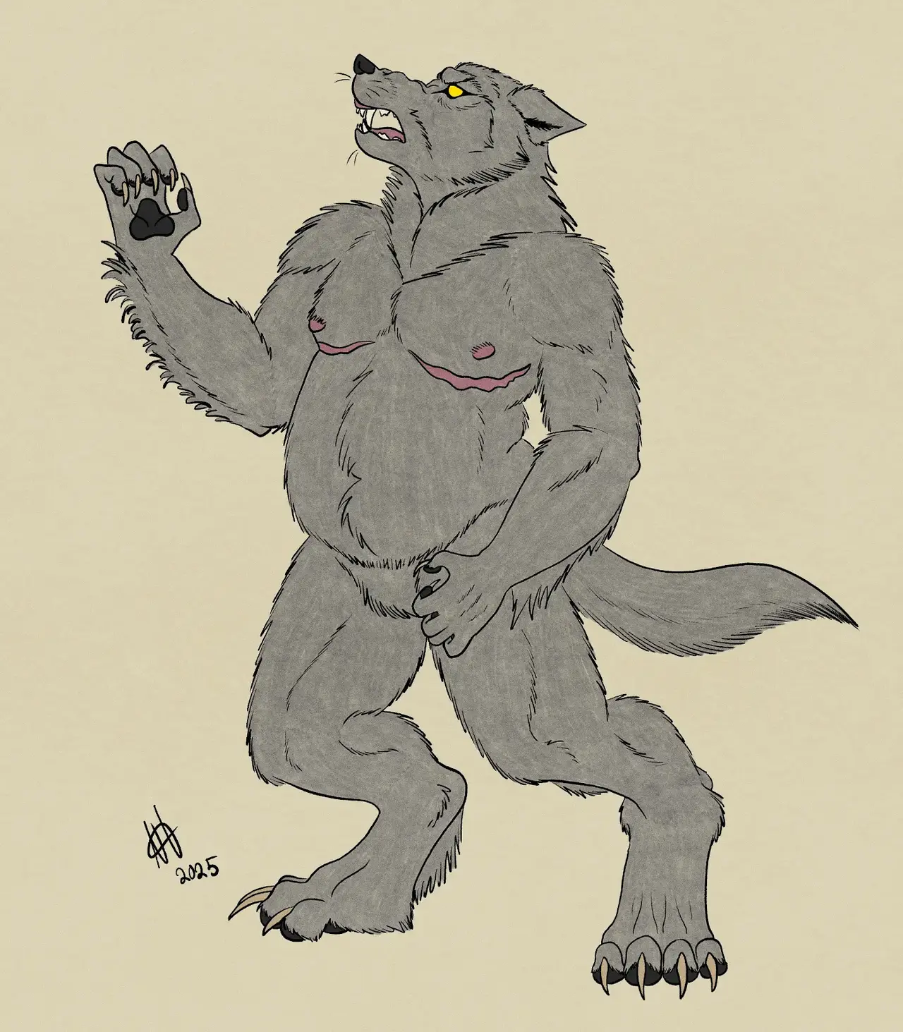 a digital drawing of a grey werewolf, standing on its hind legs and facing frontwards. The wolf is very muscular, with a fat belly, and red top surgery scars on its chest. Its right paw (your left) is raised upwards, slightly clenched so that its claws are curled into its palm.

Its head is also raised, its mouth open in a snarl and showing off its sharp teeth. Its eyes are bright yellow. The background is a simple beige colour.

In the bottom left corner of the page is the signature and date (2025).